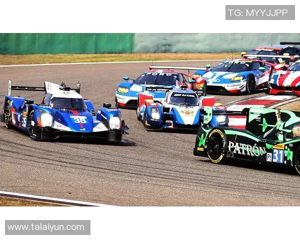 广州排球队耐力训练揭秘助力球队在赛场上勇攀高峰 广州排球队耐力训练揭秘助力球队在赛场上勇攀高峰