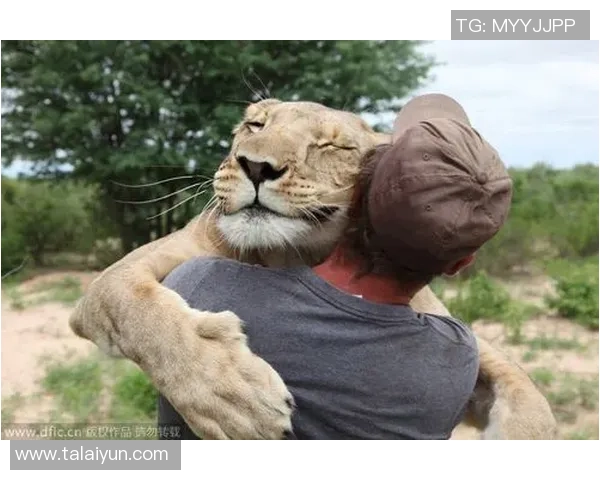 新娘足球明星的身份揭秘她的爱情故事与职业生涯的交汇点 新娘足球明星的身份揭秘她的爱情故事与职业生涯的交汇点