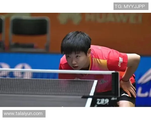 杨伟的乒乓球人生深度对话探讨与启示