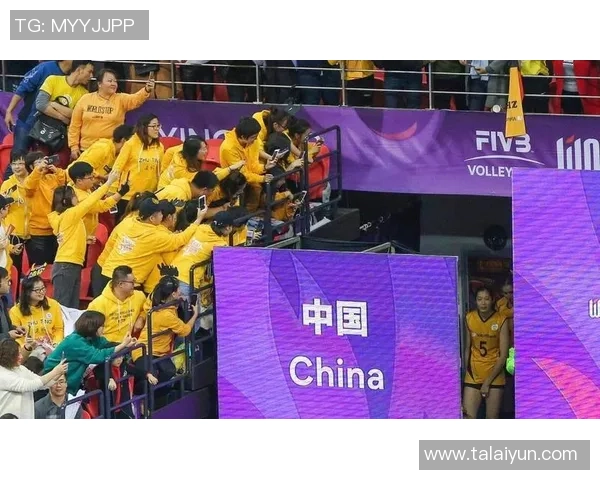 杭州排球队速度之争引发热议球迷与专家各执己见