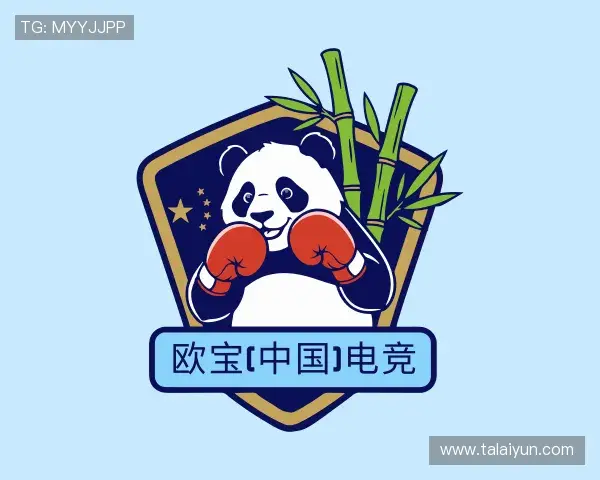 了解OB电竞